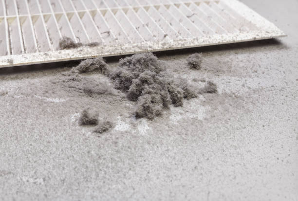 Best Affordable Duct Cleaning Services  in Anahuac, TX