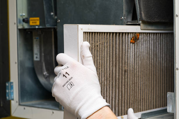 Best Emergency Air Duct Cleaning  in Anahuac, TX